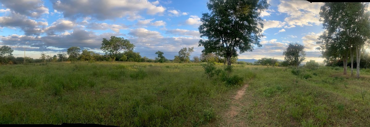 Kalawa — A Season of Change